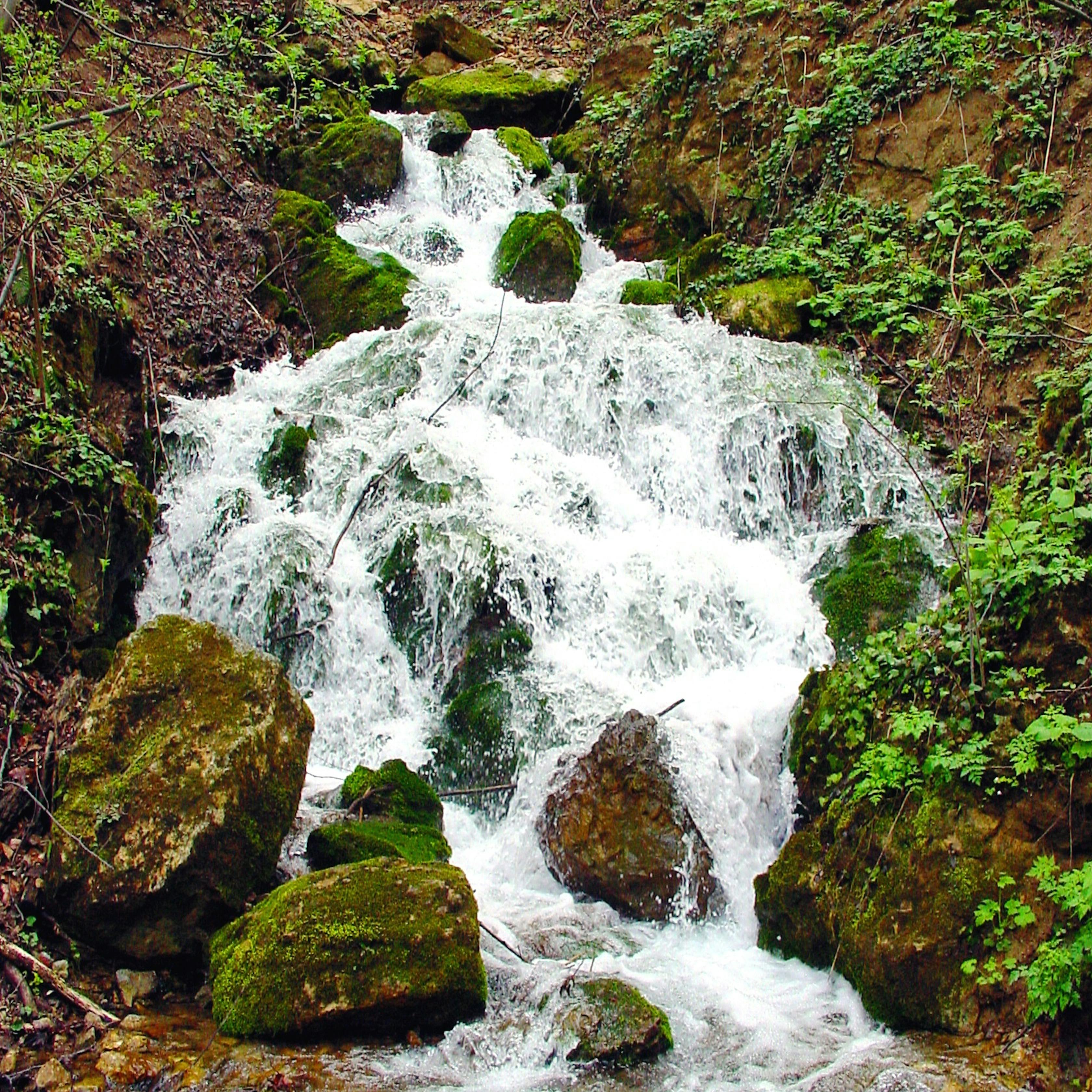 poljčane